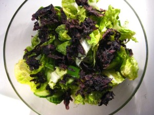 Rezept: Grüner Salat mit Dulse garniert